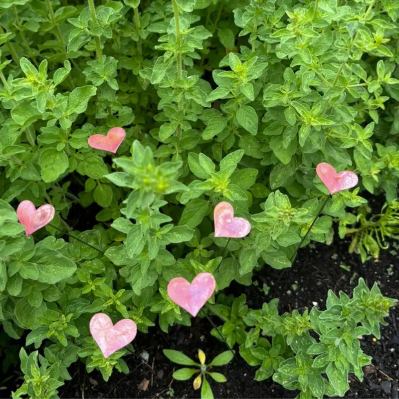 Mini Copper Plant Pick